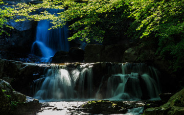 방태산의 신록.