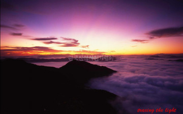 처음으로 올려 봅니다 이쁘게 잘 봐주세요