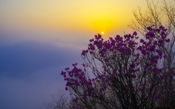 국사봉에서 마이산을 바라보고