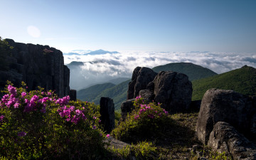 다시찾은 무등산