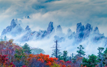 설악산 용아장성  秋色