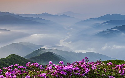 섬진강을 보다