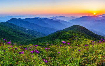 산비장이와 일출