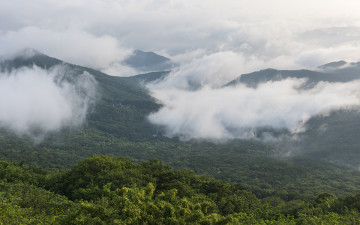 사진은 지금이다.