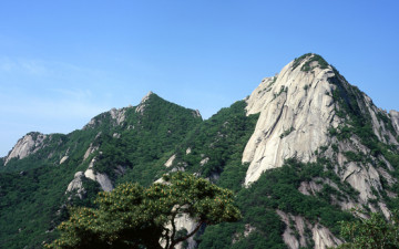 삼각산(북한산)의 신록