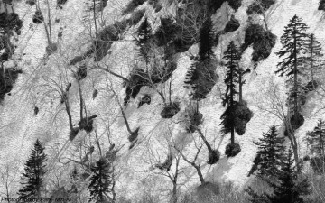 해동(봄이오는 길목)