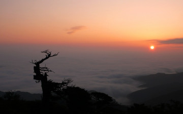 태백산 스케치[4컷](2009/08/02)