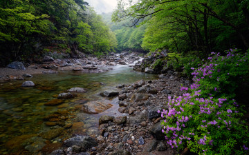 뱀사골 | 월성계곡