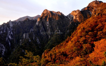 공룡능선의 추색