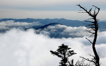 설악산 운해