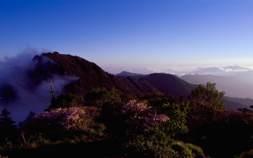 중봉에 철쭉필때면