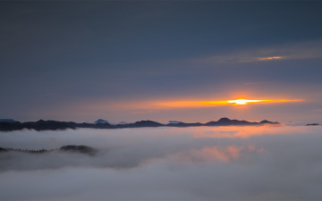 조용한 아침에.