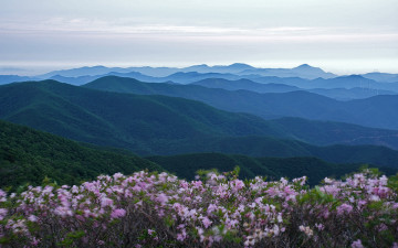 늦은 철이 지나가고...
