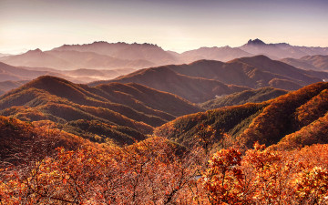 고령산의 화려한 늦가을