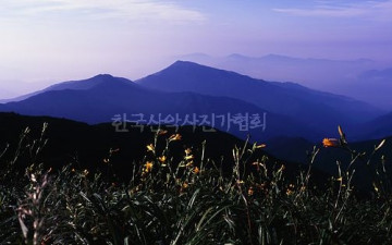 오기로 날린 샷!