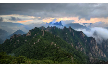 언제나 마음이 향하는 것