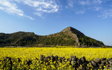바굼지오름(簞山) !