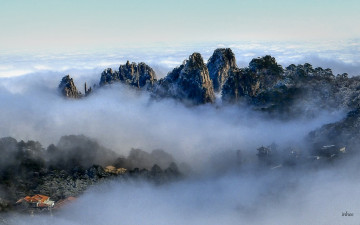 자연과 인공의 조화로움