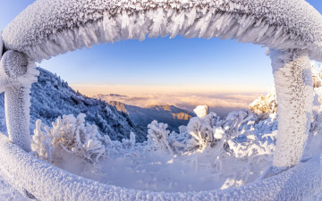 죠스의 겨울왕국