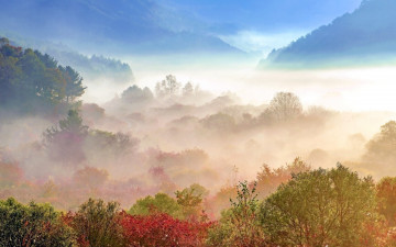 어느 가을날의 추억