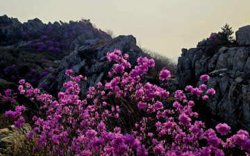 주작산. - 덕룡산(주작산)