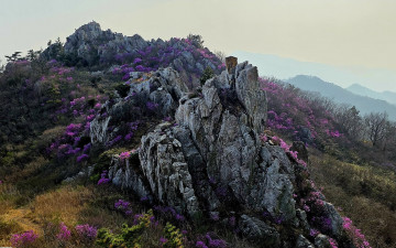 주작산. - 덕룡산(주작산)
