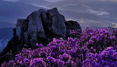 금정산. - 금정산