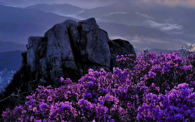 금정산. - 금정산