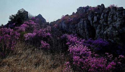 주작산. - 덕룡산(주작산)