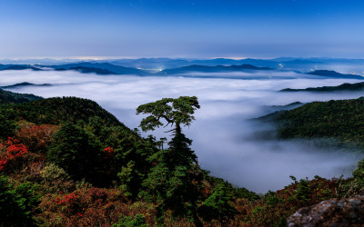 새벽 달빛 촛대봉