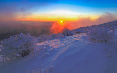 빛 고운 아침에...