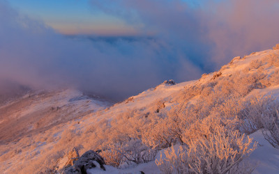 하늘이 열릴 때에...