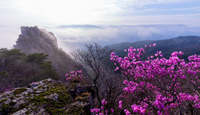 금정산 - 금정산