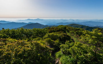 오수자굴 가는 길