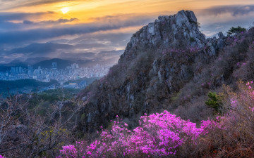 금정산 봄풍경 - 금정산