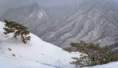 눈내리는 울산바위 풍경