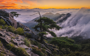 대둔산 생애대 여명