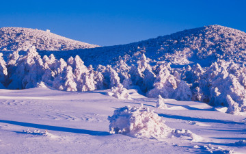 겨울 산행중에...