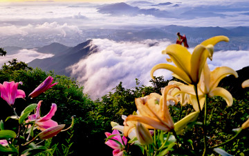 정상에서 만난 아이들