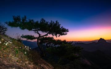 마이산이 보이는 풍경