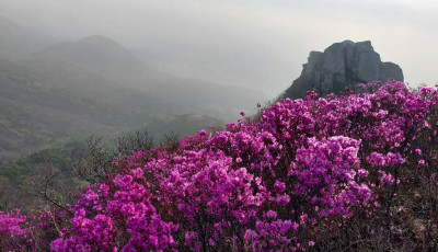 금정산 - 금정산