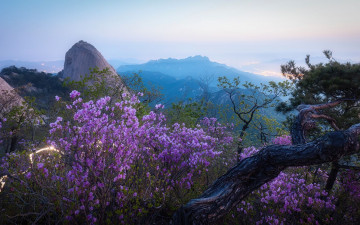 시간의 흐름 - 북한산