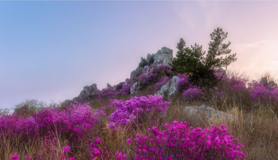 봄을 - 덕룡산(주작산)