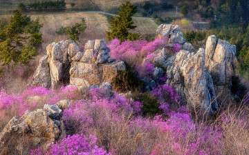 또 보자~ - 덕룡산(주작산)