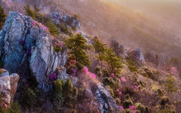 빛과 이슬이 - 덕룡산(주작산)