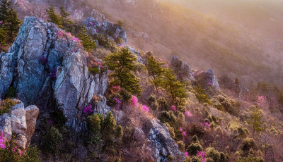 빛과 이슬이 - 덕룡산(주작산)