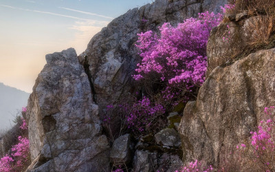 주자의 봄 - 덕룡산(주작산)