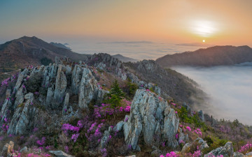 주작산 봄 - 덕룡산(주작산)