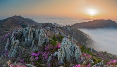 주작산 봄 - 덕룡산(주작산)