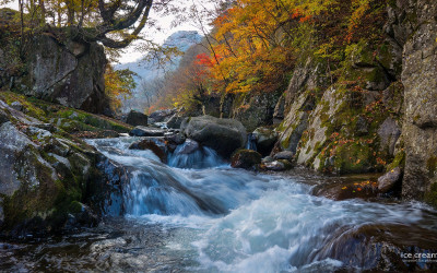 가을 계곡